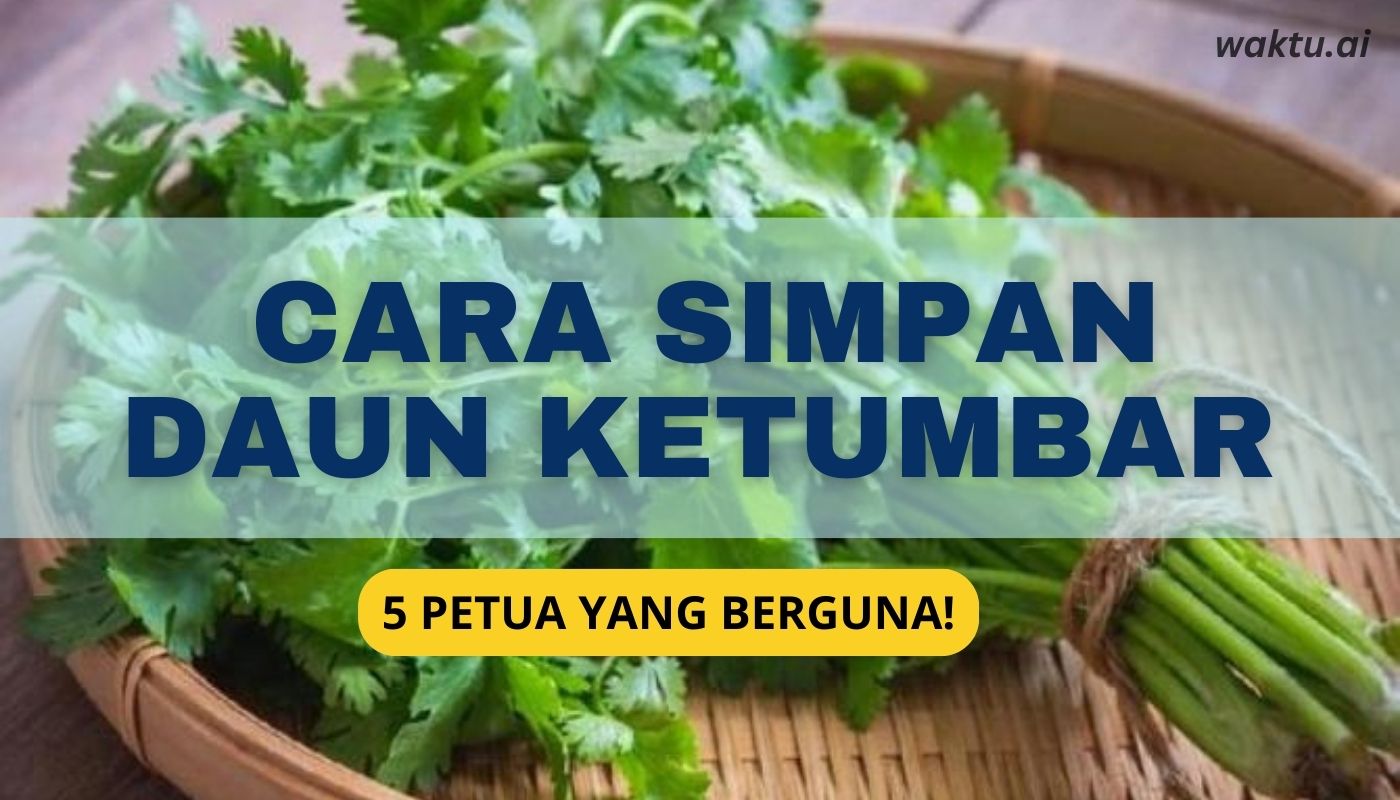 Petua Simpan Daun Ketumbar