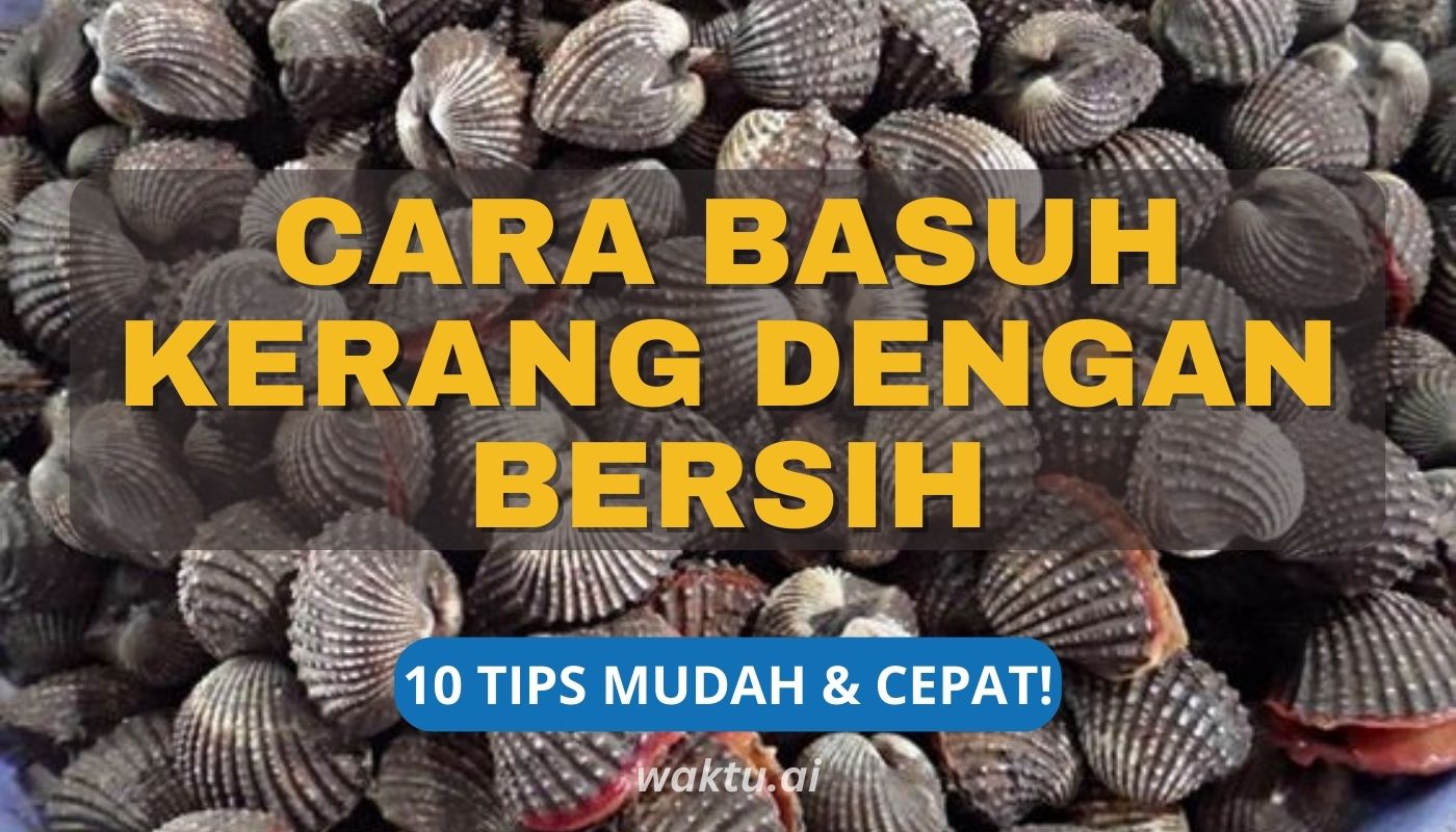 Cara Basuh Kerang Dengan Bersih