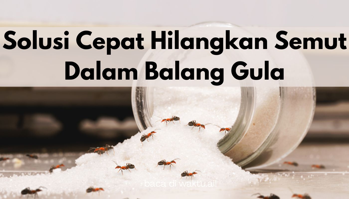 Hilangkan Semut