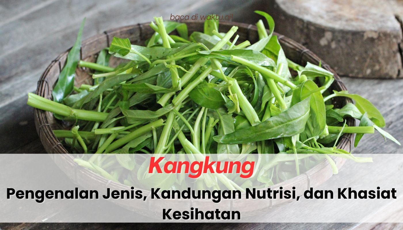 kangkung