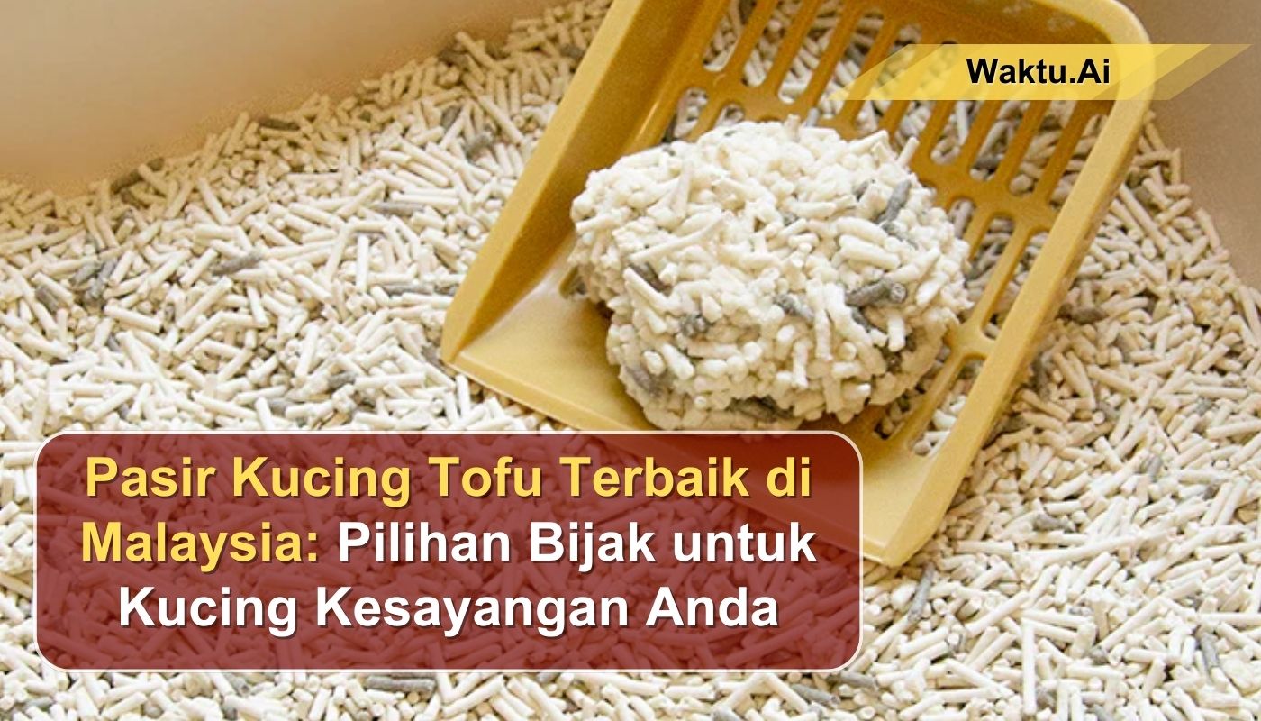 Pasir Kucing Tofu